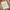 020c565b-f371-43e8-b12d-ceceffd140f7