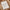 6e836363-ff93-4d3d-841d-f73d2904a053